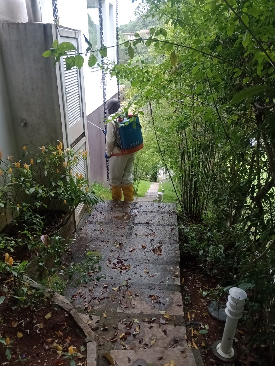 Tratamento de jardim e perímetro externo